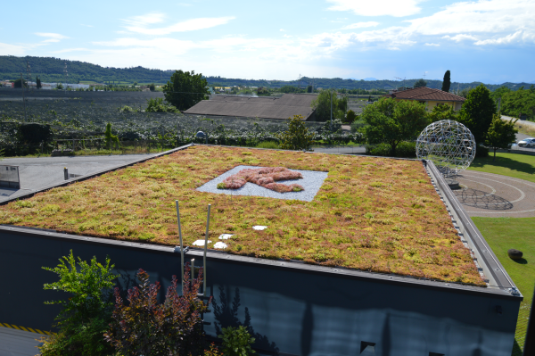 Riverclack Green Roof Solutions groendaksystemen op ondergrond van felsdaksysteem