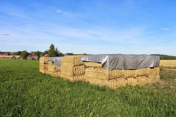 Hernieuwbare grondstoffen in isolatie; hoe gaan we hier mee om? 