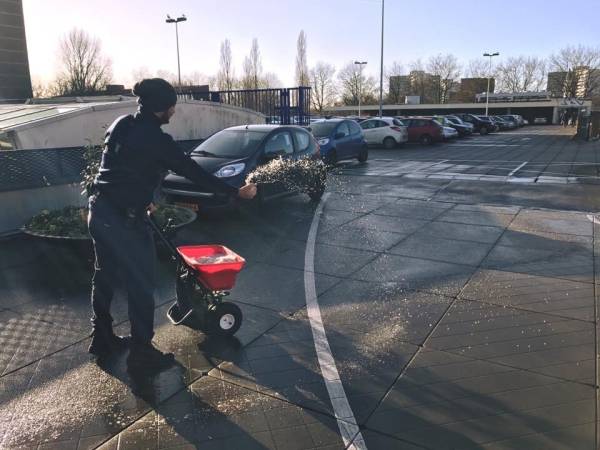 Parkeerdaken en vorst