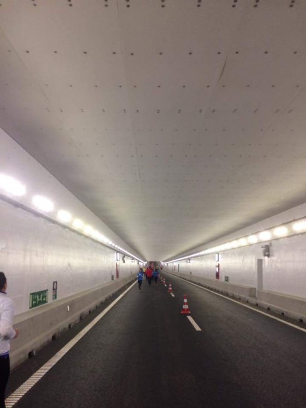 fischer Projects: Velsertunnel
