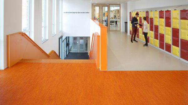 Nieuwe school kleurt Leidse Houtkwartier