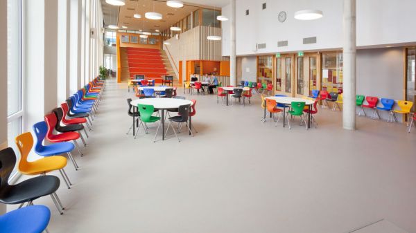 Nieuwe school kleurt Leidse Houtkwartier