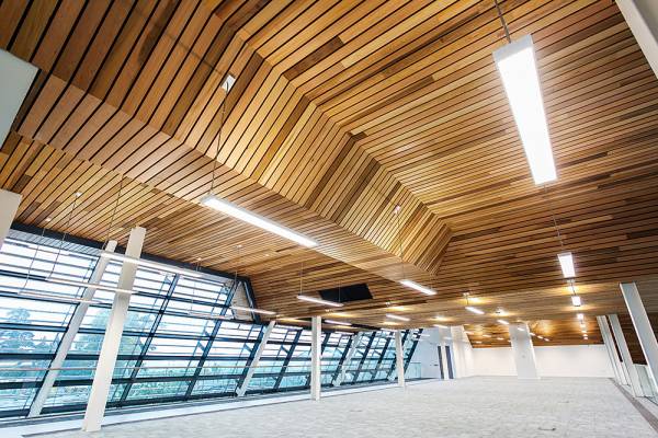 Indrukwekkend massief houten plafond voor gebouw meteorologische dienst