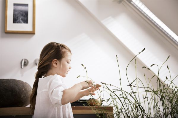 VELUX en het Longfonds slaan handen ineen voor gezonde lucht en longen