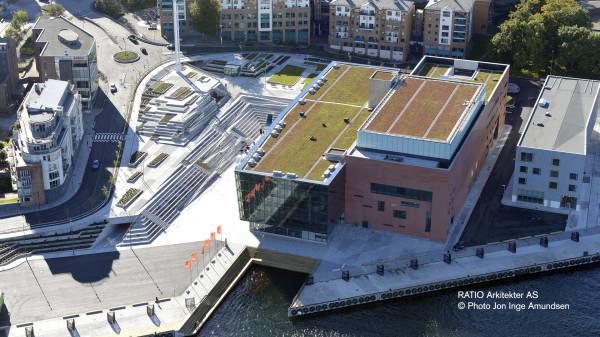 Een groen dak in de stad 