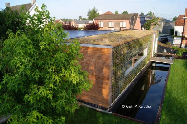 Een groen dak in de stad 