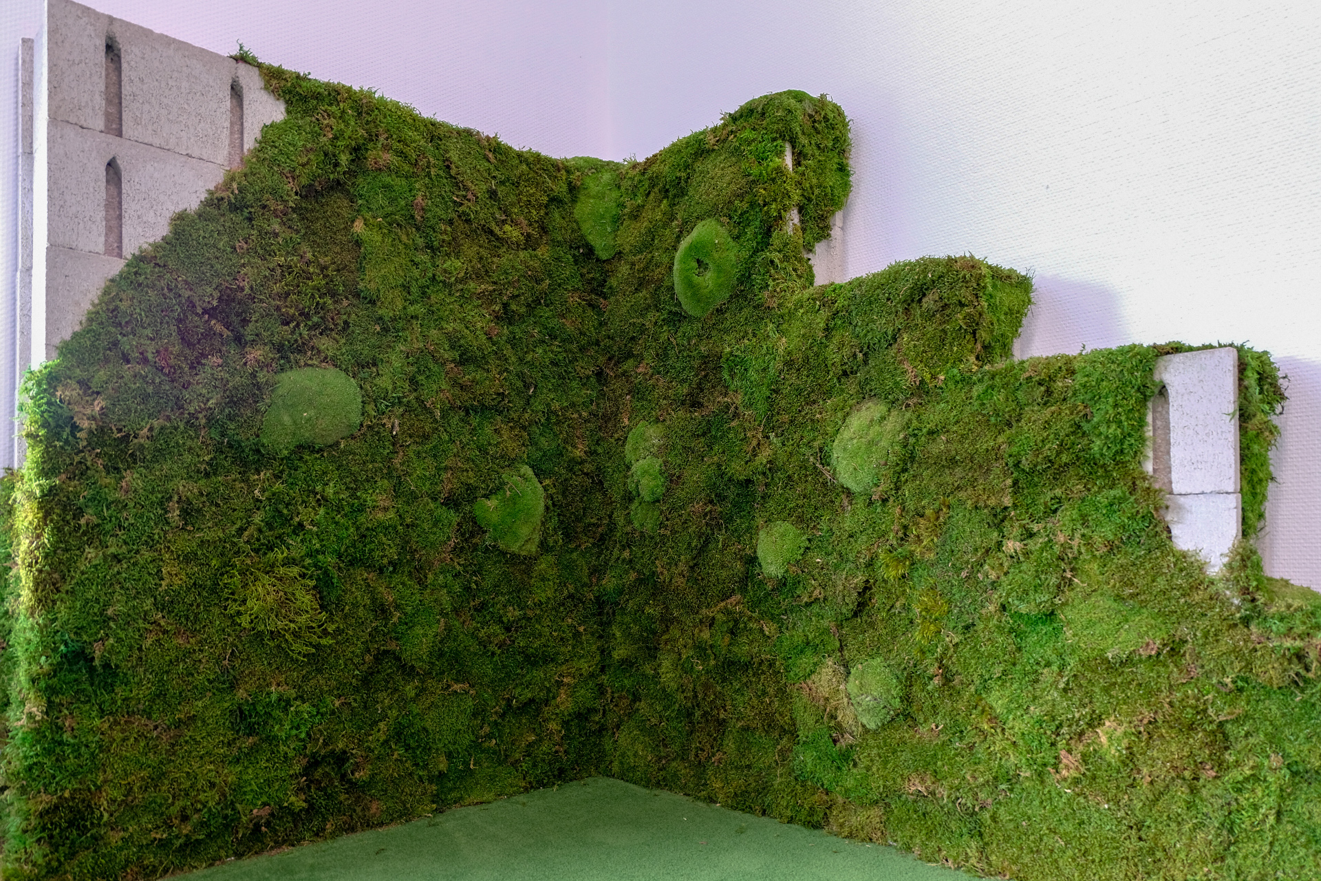 Soundblox Green Wall, akoestische wand met mummiemos Soundblox Green Wall, akoestische wand met mummiemos