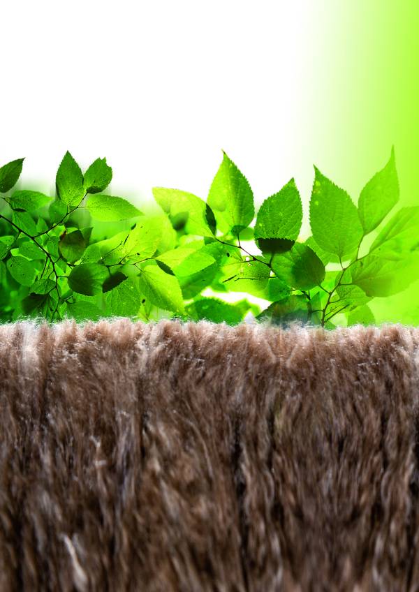 Knauf Insulation ECOSE Technology
