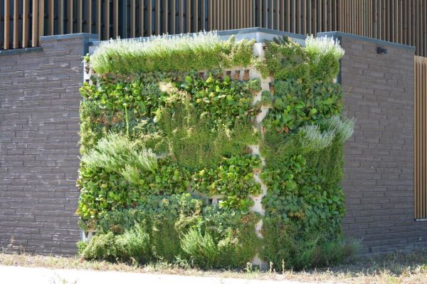 Soundless Green Wall betonwand