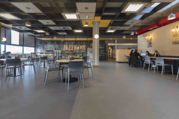 Jazzmansbar CO2-neutraal Marmoleum Forbo Flooring