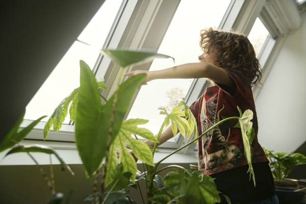 VELUX dakkapel serre - Indoor Generation