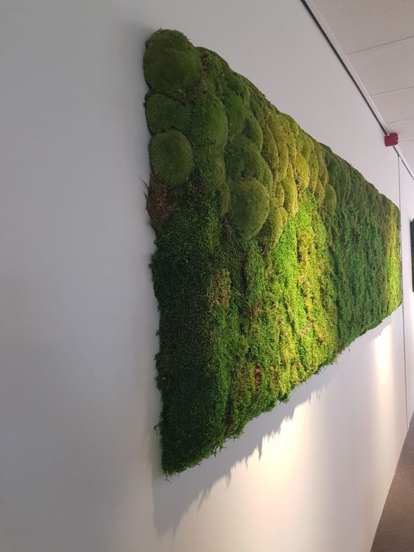 Soundblox Green Wall, akoestische wand met mummie-mos