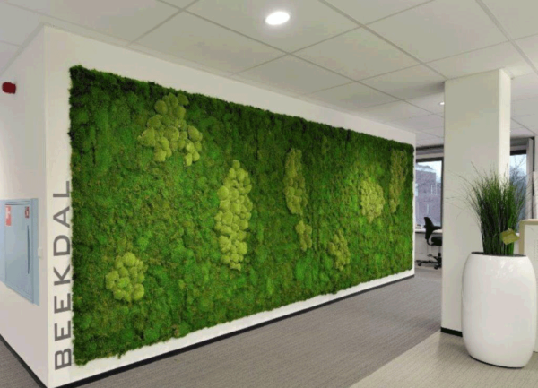 Soundblox Green Wall, akoestische wand met mummie-mos