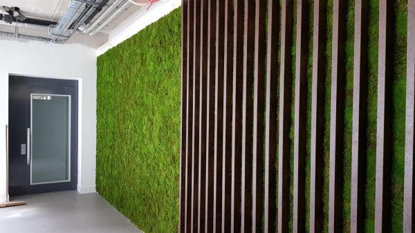 Soundblox Green Wall, akoestische wand met mummie-mos