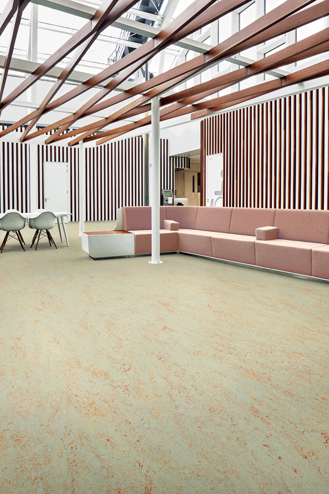 Forbo Marmoleum Marbled Forbo Marmoleum Marbled