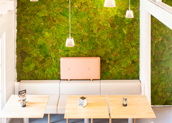 Soundless Green Wall met 100% natuurlijk mummie-mos