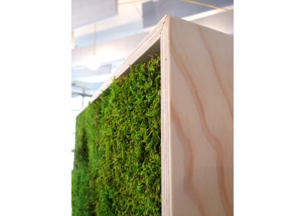 Soundblox Green Wall, akoestische scheidingswand met mummie-mos