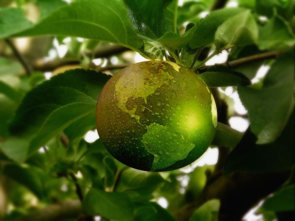 Sustainability-energy-apple-globe, foto van Wallpaper Flare