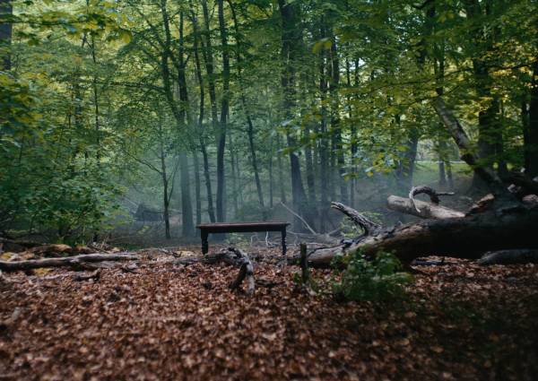 De VELUX Groep sluit zich aan bij RE100 en Business for Nature