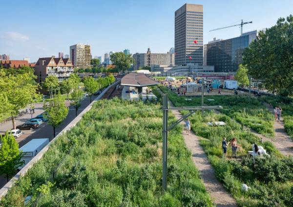 Hoe corona een groene golf in de stad veroorzaakt / Foto Dudok 