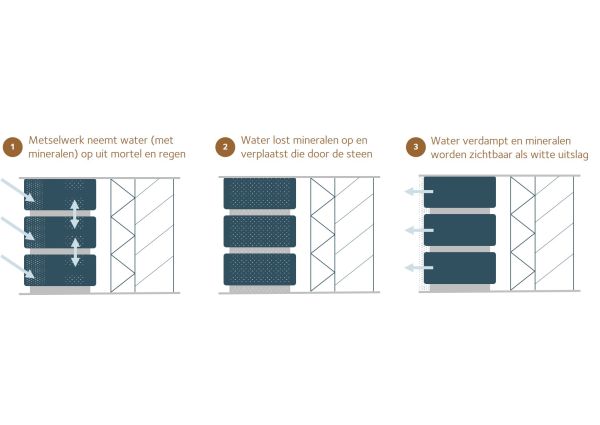 Hoe ontstaat uitbloei op baksteengevels?