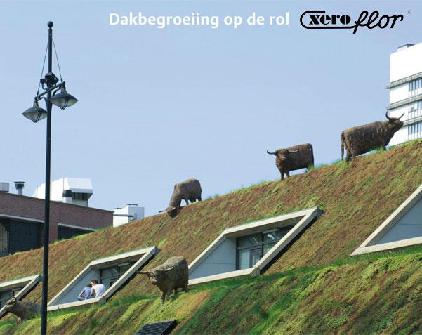Xeroflor vegetatiedaken voor hellend dak Xeroflor vegetatiedaken voor hellend dak
