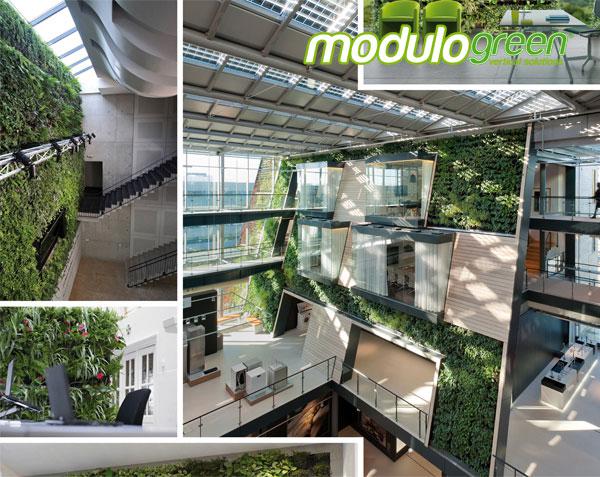 Modulogreen groene gevels indoor Modulogreen groene gevels indoor