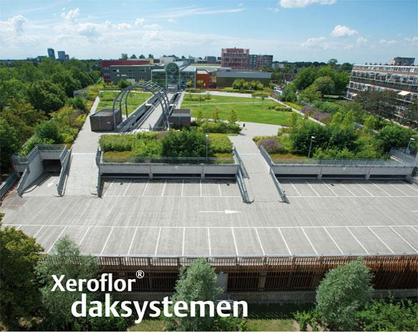 Xeroflor daktuinsystemen Xeroflor daktuinsystemen
