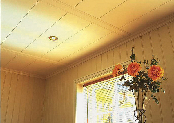 Agnes One-Step Plafondpanelen en wandpanelen, kant-en-klare decoratieve panelen Agnes One-Step Plafondpanelen en wandpanelen, kant-en-klare decoratieve panelen