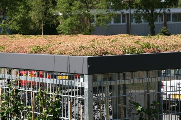 Detail FalcoLok overkapping met groendak Detail FalcoLok overkapping met groendak