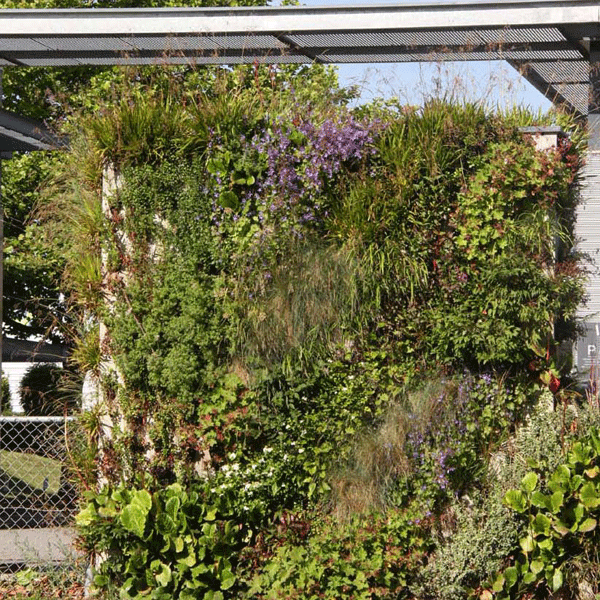 BIA Groene Wand Blokken begroeid BIA Groene Wand Blokken begroeid