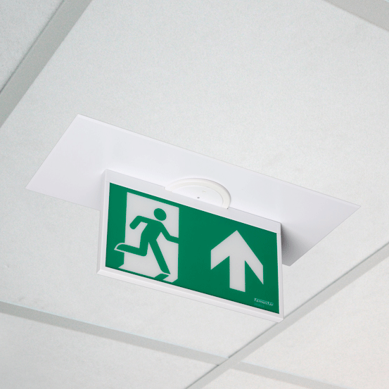 CELO sign met renovatieset CELO sign met renovatieset