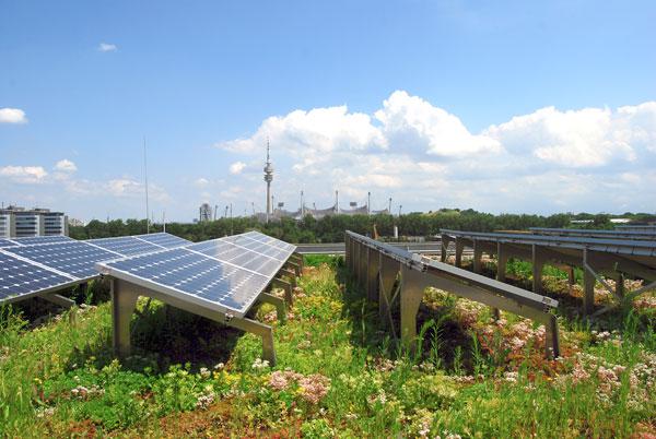 Een ENERGIEDAK van Leven op Daken, kristallijn PV zonnepanelen