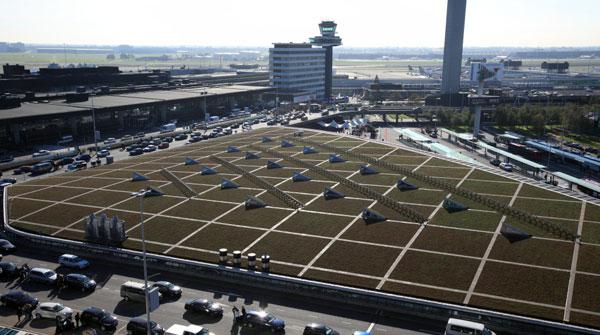 Een ENERGIEDAK van Leven op Daken, kristallijn PV zonnepanelen met sedum