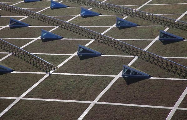 Een ENERGIEDAK van Leven op Daken, kristallijn PV zonnepanelen met sedum