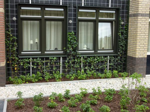Groengevel FOAMGLAS cellulair glas Winterswijk Groengevel FOAMGLAS cellulair glas Winterswijk