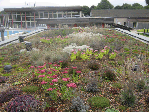 ZinCo dakbeplanting Fontana Nieuwe Schans