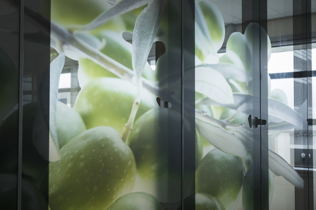 Glaspaneelwand G90 detail folie Afbeelding appelboom op glaswand