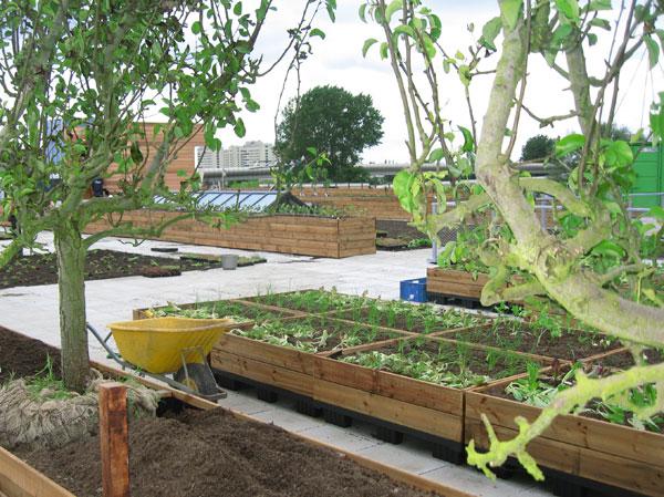 Een GROENDAK of DAKTUIN van Leven op Daken