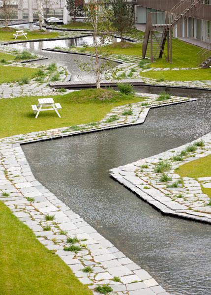 Een GROENDAK of DAKTUIN van Leven op Daken