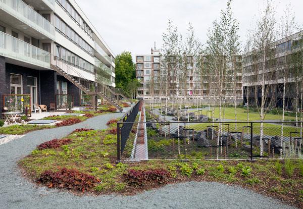 Een GROENDAK of DAKTUIN van Leven op Daken