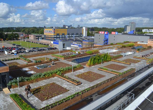 Een GROENDAK of DAKTUIN van Leven op Daken