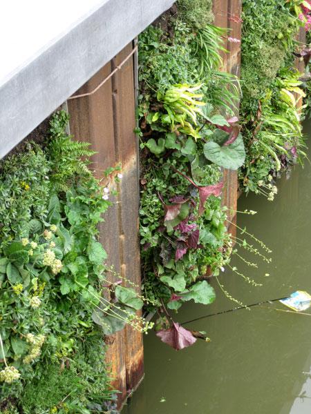 Een GROENE GEVEL van Leven op Daken