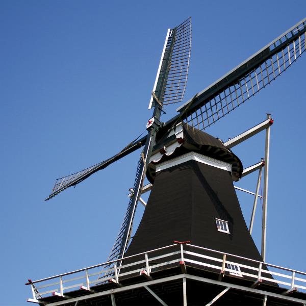 Icopal molen niebert 600