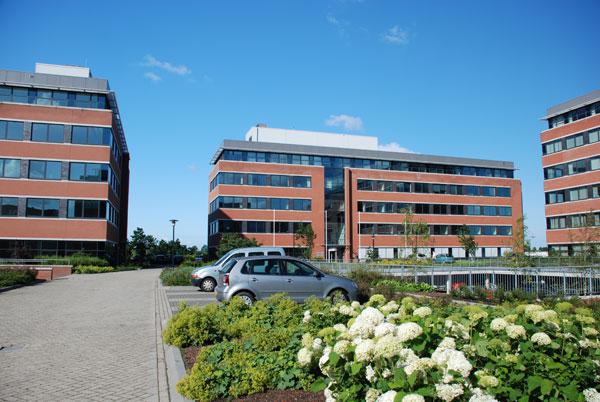 Een PARKEERDAK van Leven op Daken, klinkerbestrating