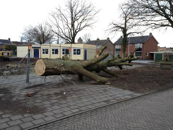 Foreco hergebruik boom