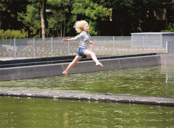 Een WATERDAK van Leven op Daken