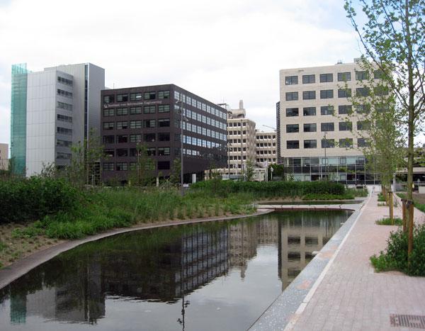 Een WATERDAK van Leven op Daken