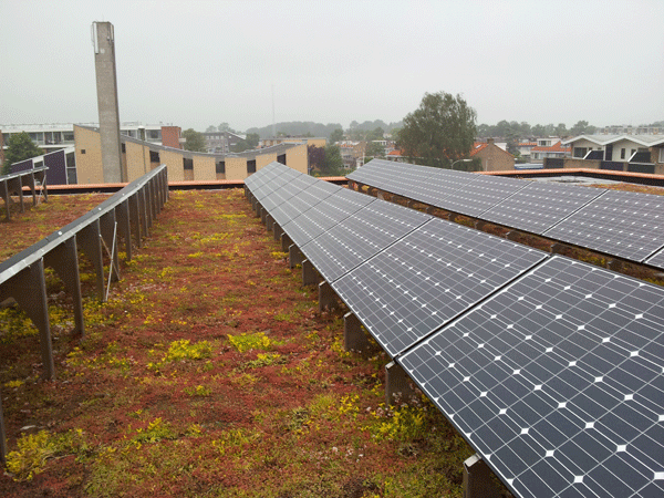 ZinCo Solarbasis SB 200, Willibrordschool Bodegraven ZinCo Solarbasis SB 200, Willibrordschool Bodegraven
