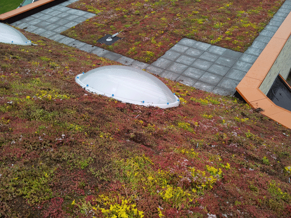 ZinCo Solarbasis SB 200, Willibrordschool Bodegraven ZinCo Solarbasis SB 200, Willibrordschool Bodegraven